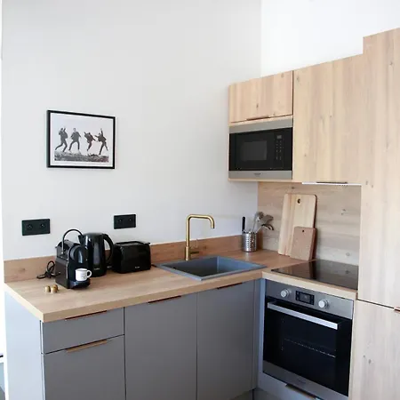 Apartament 3p Avec Terrasse Dans La Vieille *